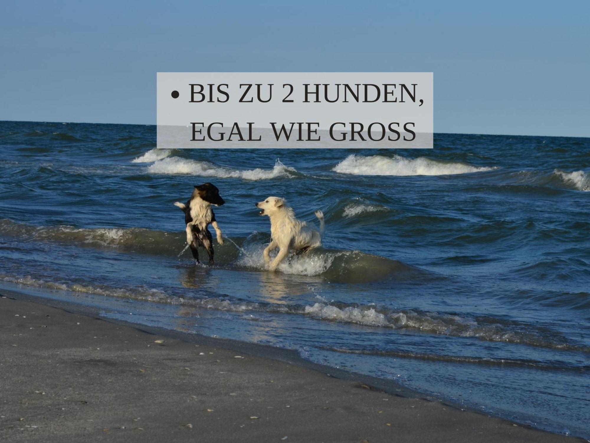 Haus Krabbe, Apartment 10, Naehe Bremerhaven, Fuer 1-2 Personen, 2 Schlafzimmer, Einzelbetten, Zweite Etage, Zentral Gelegen, Bis Zu 2 Hunden Kostenfrei Willkommen Wremen Kültér fotó